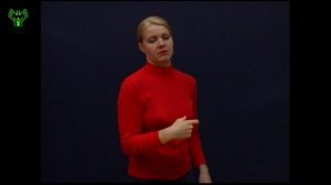 (013) Кошмар, довести до инфаркта. Словарь лексики русского жестового языка