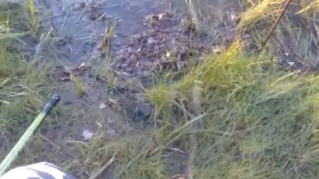 Вечерняя рыбалка с внуком на речке Шыган Павлодарская область