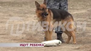 Куда исчез двухлетний ребенок? Хронология событий