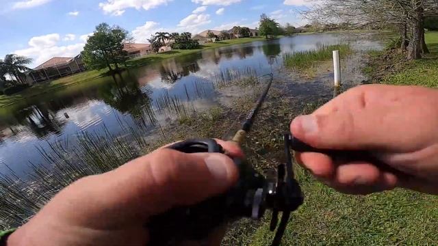 Jon B MADE me BUY This Fishing Reel! (Surprised!) смотреть онлайн