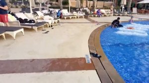 Habtoor Grand Dubai July 2019 Pool Бассейн в отеле Хабтур Гранд в Дубай