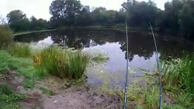 Суперрыбалка на безлюдной Суле