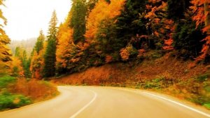 ТЫ - МОЯ ЖЕНЩИНА - автор и исполнитель ГРИГОРИЙ ГУСИНСКИЙ