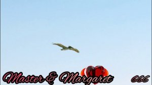 День Девятый Проекта