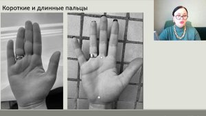 1 урок. Основа ладони