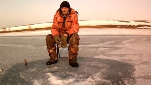 Весенняя рыбалка началась - окушарик зашевелился