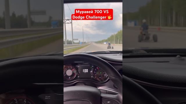 Dodge Challenger VS Муравей 700