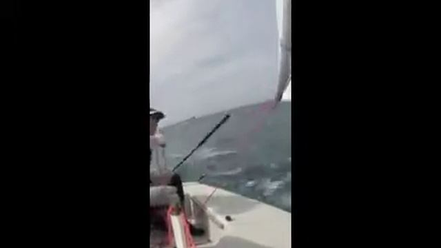 vela pazza laser