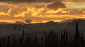 Mushers Conquering the Yukon Quest: Exclusive Interview with Hugh Neff