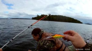 ВЫГОЗЕРО 2016.г Rapala Shad Rap Икона для ловли судака