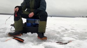 РЫБАЛКА В ФЕВРАЛЕ | ТАКОГО УЛОВА Я НЕ ОЖИДАЛ #рыбалка #рыбалка2024