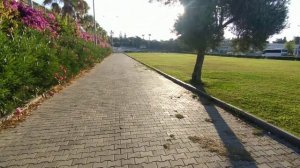 Alexia resort & spa hotel.The road to the beach. Алексия ресорт энд спа дорога на пляж 🌊☀