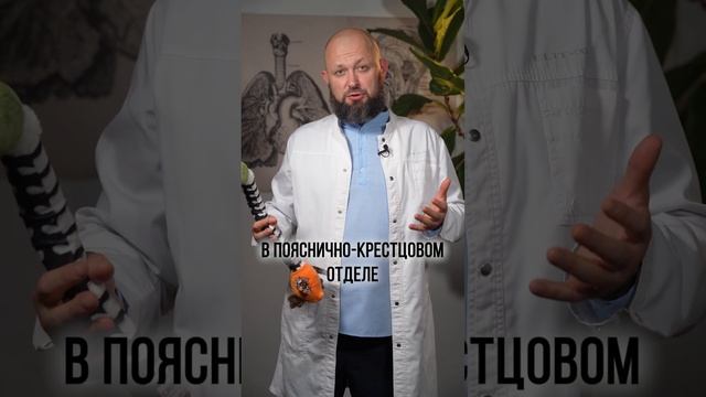 Как избежать ГРЫЖИ позвоночника? #здоровье #грыжа #доктор