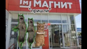 всем привет💗✌🏻🔱💅