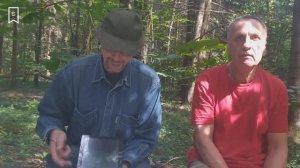 Растения Валуевского лесопарка  Часть 3