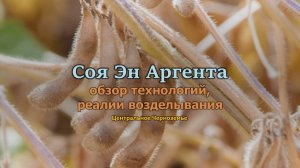 Обзор технологий ЦЧЗ для сорта сои Эн Аргента