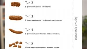 Как правильно какать? Правильная поза для испражнения | Виды кала