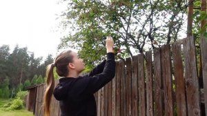 ЛЕТНИЙ VLOG ИЗ ДЕРЕВНИ | СМОТРИМ "ЗИМОРОДОК"