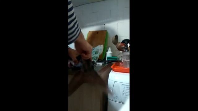 КАК ПРАВИЛЬНО РАЗДЕЛАТЬ ВЕСЛОНОСА