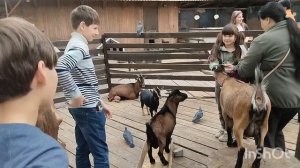 День первый в Саратове: детские парки, набережная и центральная улица