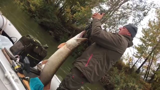 Щука 13.500. Иртыш. Павлодар смотреть онлайн