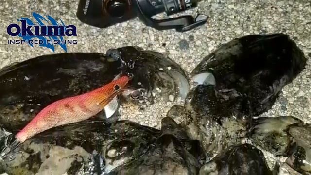 Okuma Aria смотреть онлайн