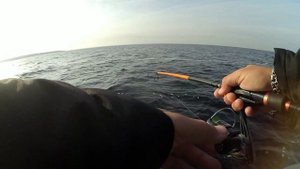 Часть1. Щука сошла с ума, клюет на каждом забросе. Ловля на Pig Shad. Рыбалка на Рыбинке на спиннин