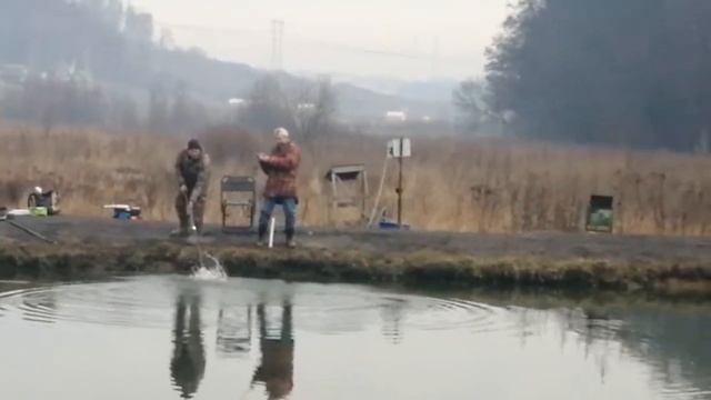 Мисайлово Trout. Вот так форель клевала до запуска