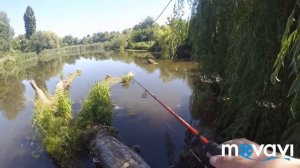 Жор карася на попла-попер.Ловля на спиннинг летом в жаркую погоду