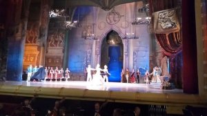 Kiev Swan Lake act2 06 finale