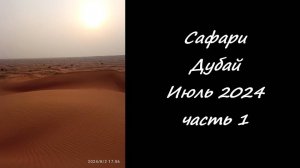 Сафари. Дубай. Июль 2024