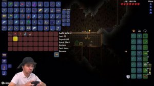 Я тебя сейчас разобью || Террария 1.3 на Нинтендо Свитч