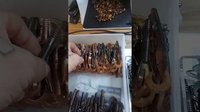 hawgs are live. @EpicBaitMolds @alphapigments901 @stillwaterbaitco смотреть онлайн