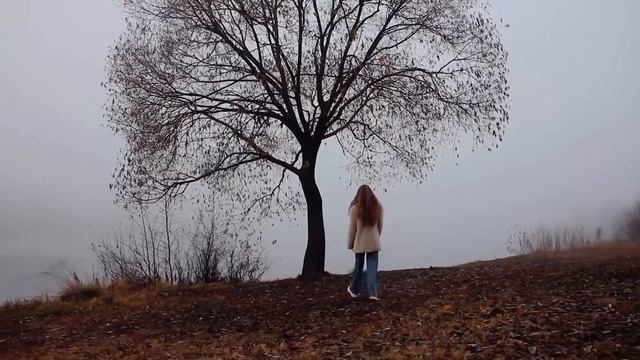 Кожикина Евгения  «Расскажите Птицы»  #евгениякожикина #девочкакотораяпоет