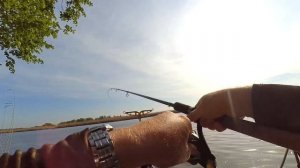 Ловля весеннего карася Лысогорка