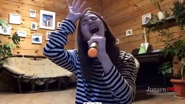 Jonsen PRO 2.1 караоке система для дома с двумя беспроводными микрофонами смотреть онлайн