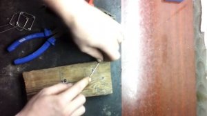 Рамки на толстолоба