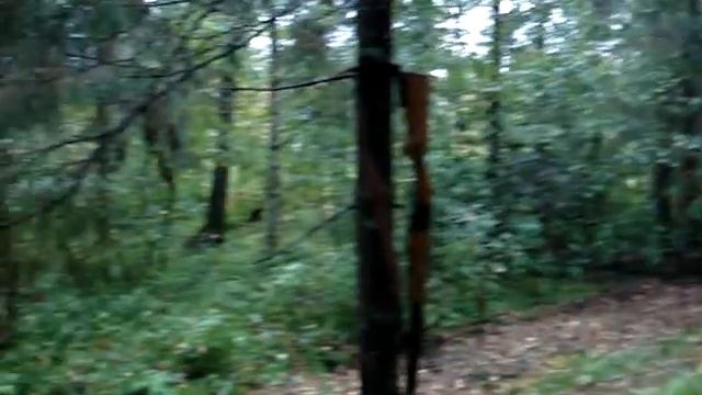 Манок На лося.. смотреть онлайн