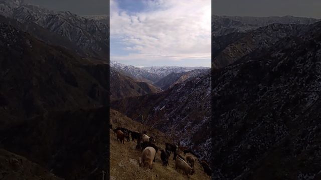 12 января 2022 г. смотреть онлайн