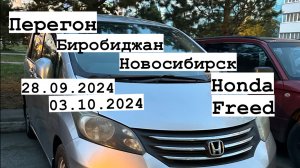 Перегон из Биробиджана в Новосибирск Honda freed 28.09.2024-03.10.2024
