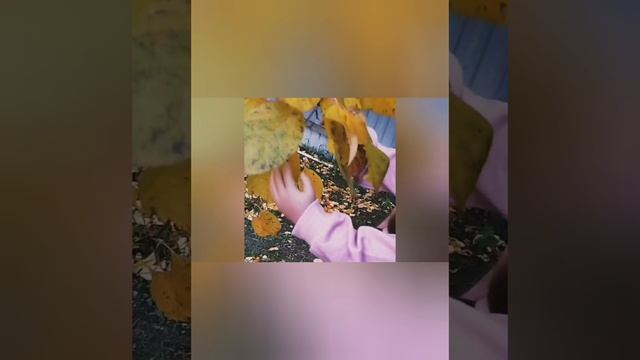 Наслаждение осенью🧡🍂.mp4