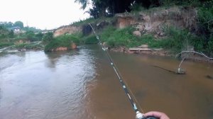 TSURINOYA DARK WOLF ULTRA VS SEBARAU (TOP WATER STRIKE PART II)