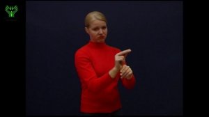 (034) Все равно, неисправимо, бесполезно. Словарь лексики русского жестового языка