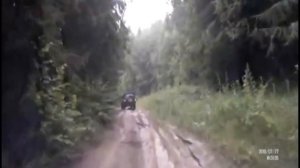 кайрон в стоке на бездорожье