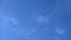 (КВГ Феникс-Москва)  участник Катомин