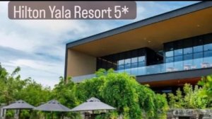 Hilton Yala 5* новинка 2023 на Шри Ланке рядом с парком Яла #шриланка