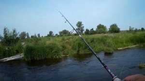 Елец спиннингом на мормышку (наноджиг VS мормышинг)