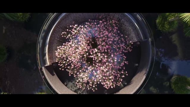 Тренды в ландшафтном дизайне 2024
