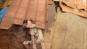 АТ53 Переработка картона червями Старатель Видео №1 Дендробена, Калифорнийские черви