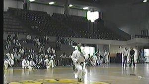 Sensei Alfonso Niseishi.mpg